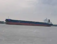 Pembawa pukal untuk jualan