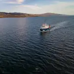 Kapal tinjauan untuk dijual