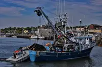 Kapal pukat lilit untuk dijual