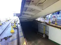 Pembawa pukal untuk jualan