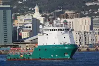 Bot tunda untuk jualan