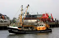 Trawler untuk jualan
