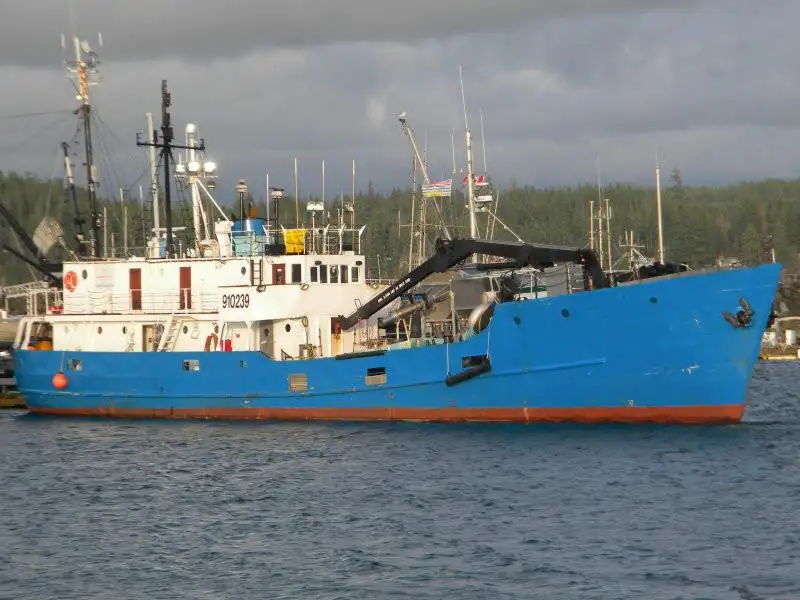 Kapal pengangkut pukal untuk dijual