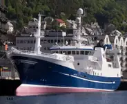 Purse seiner untuk jualan