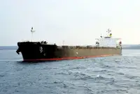 Pembawa pukal untuk jualan