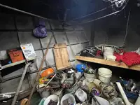 Kapal pukat untuk dijual