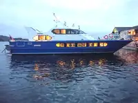 Kapal feri untuk jualan