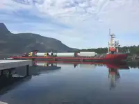 Pembawa pukal untuk jualan