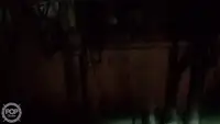 Kapal pukat untuk dijual