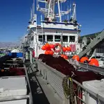 Kapal pukat lilit untuk dijual