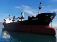 Pembawa pukal untuk jualan