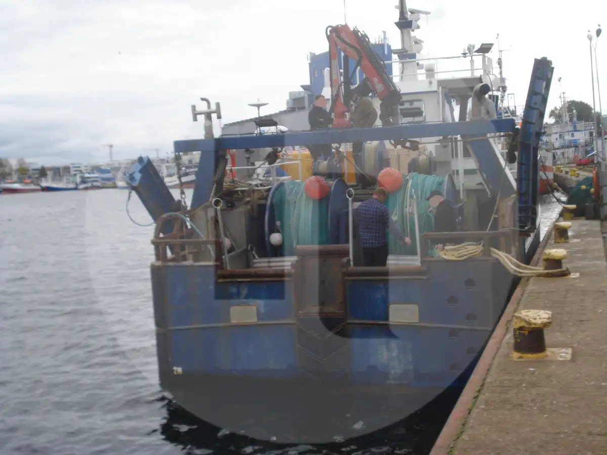 Kapal pengangkut ikan hidup untuk dijual