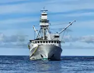 Purse seiner untuk jualan