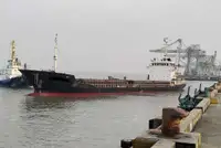 Pembawa pukal untuk jualan