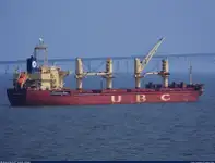 Pembawa pukal untuk jualan