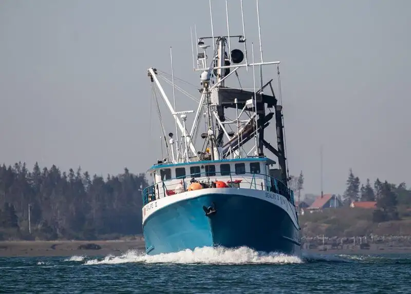 Kapal pukat lilit untuk dijual