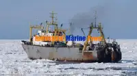 Kapal peti sejuk untuk dijual