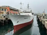 Kapal pukat untuk dijual