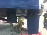 Kapal anak kapal untuk dijual