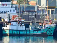 Purse seiner untuk jualan