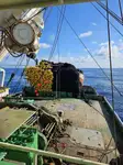 Purse seiner untuk jualan