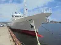 Bot peronda untuk jualan