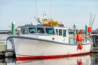 Kapal pukat lilit untuk dijual
