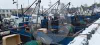 Pengangkut ikan hidup untuk jualan