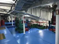 Ro-Ro ship untuk jualan