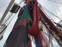 Kapal pukat untuk dijual