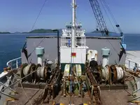 Kapal pengangkut pukal untuk dijual