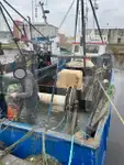 Pengangkut ikan hidup untuk jualan