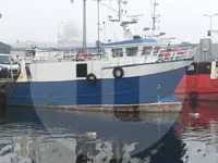 Kapal pengangkut ikan hidup untuk dijual