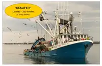 Kapal pukat lilit untuk dijual