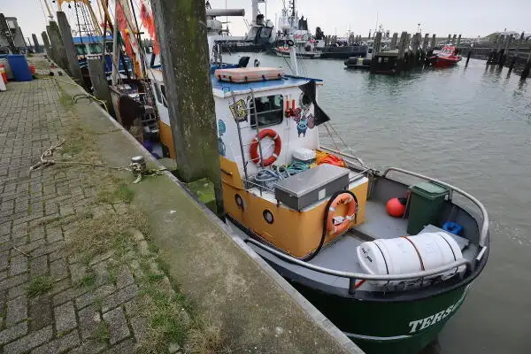 Kapal pukat untuk dijual