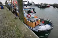 Kapal pukat untuk dijual
