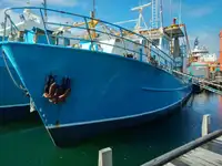 Trawler untuk jualan