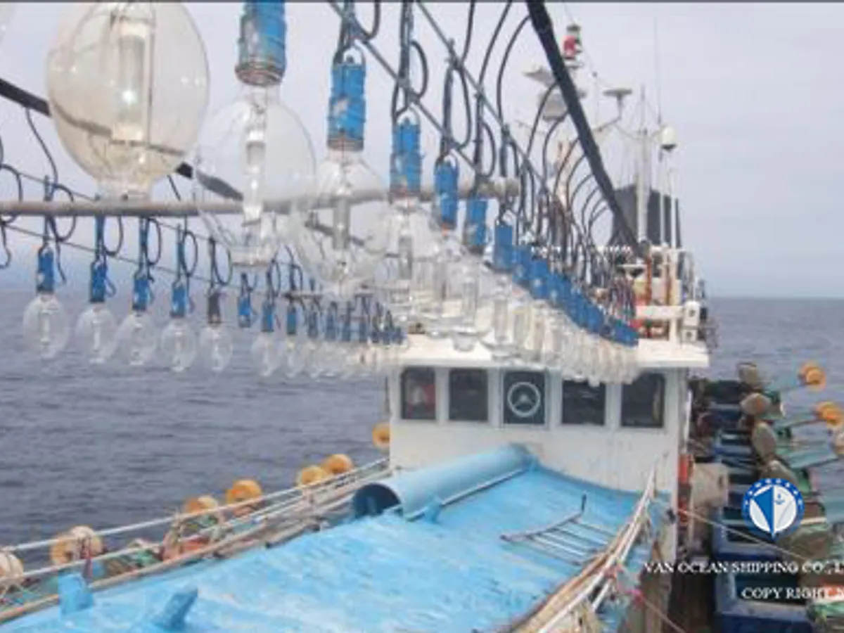 Kapal pencari sotong untuk dijual