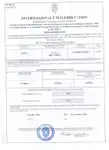 Kapal Ro-Ro untuk dijual