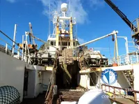 Kapal pukat untuk dijual
