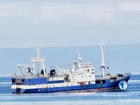 Kapal pukat untuk dijual