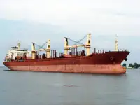 Pembawa pukal untuk jualan