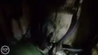 Kapal pukat untuk dijual