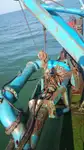 Kapal pengorek untuk dijual