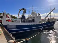 Kapal pukat untuk dijual