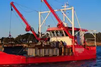 Kapal kerja untuk dijual