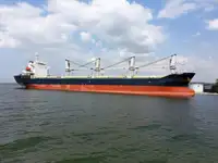 Pembawa pukal untuk jualan