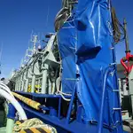 Purse seiner untuk jualan