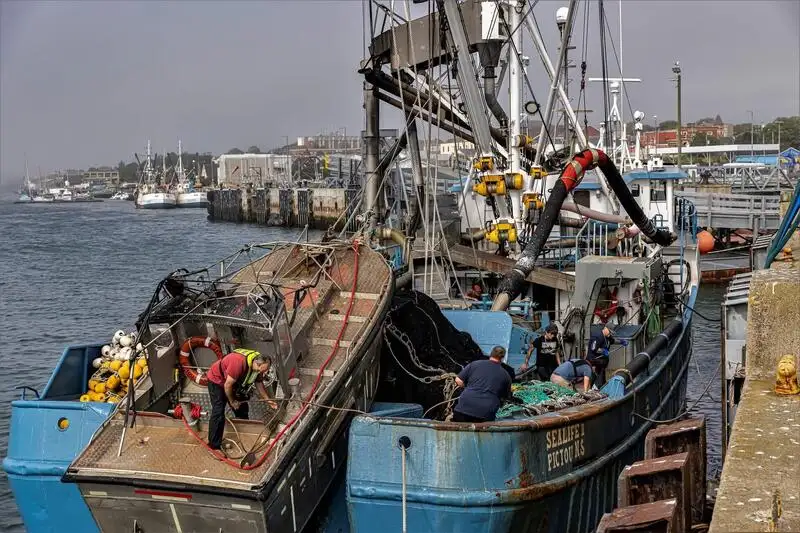 Kapal pukat lilit untuk dijual
