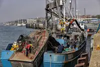 Kapal pukat lilit untuk dijual